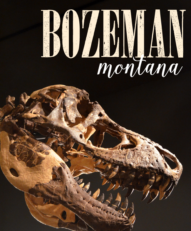 Bozeman-Montana-airstream-travel