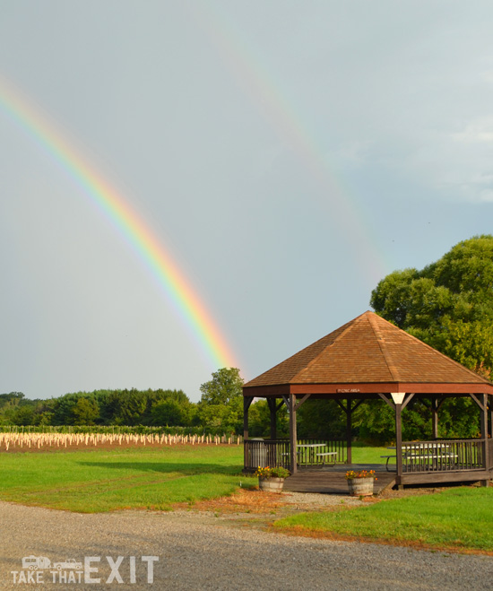 Double-Rainbow-vineyard