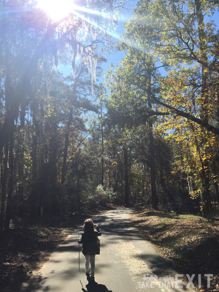 The-Road-Ahead-South-Carolina