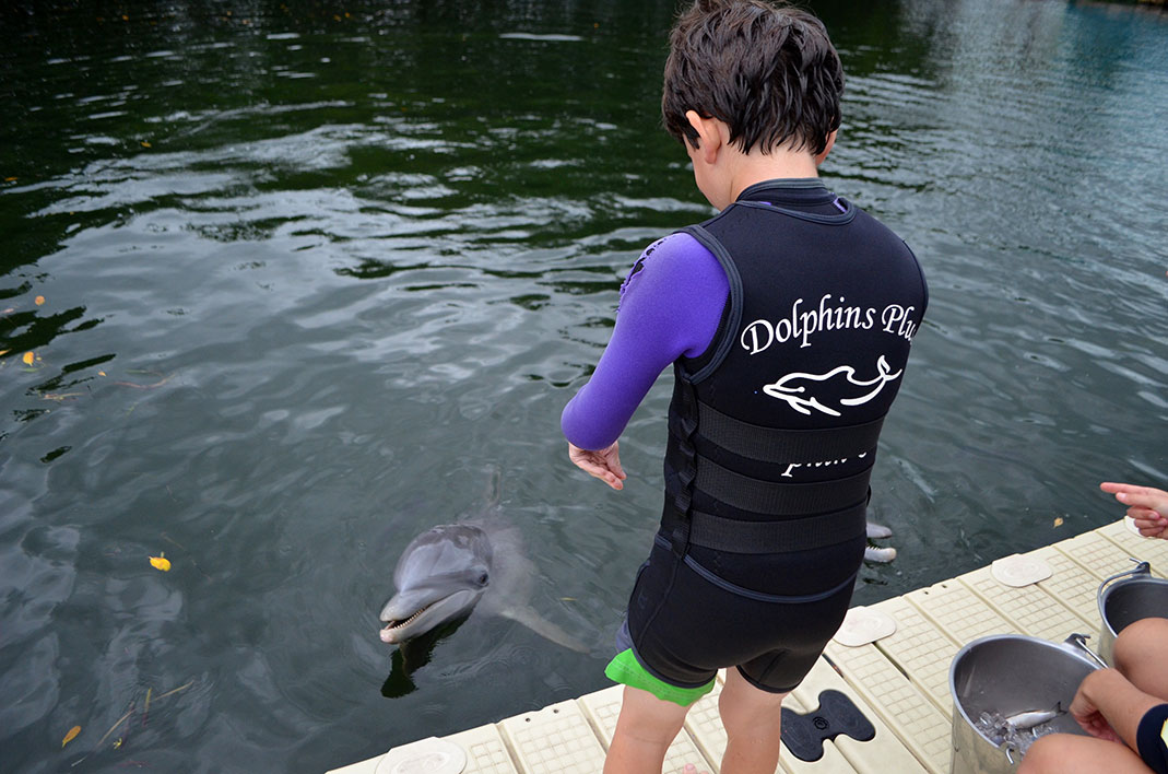 Dolphins-Plus-Kids-Instruction-teach