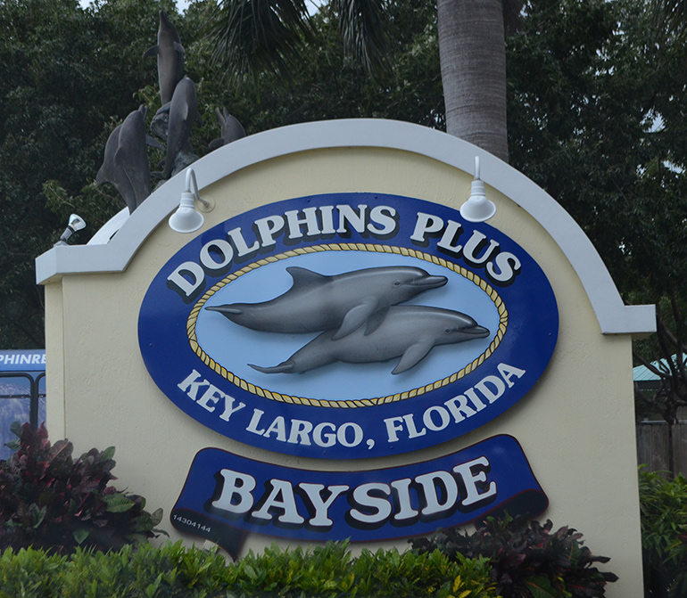 Dolphins_Plus-Bayside-Location-Florida