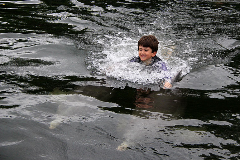 Swimming-with-Dolphins-Liam