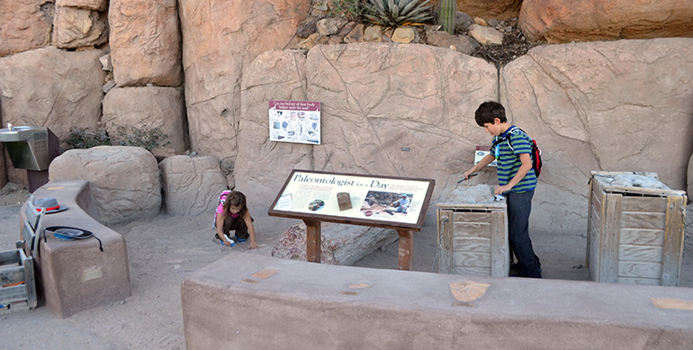 Arizona-Sonora-Desert-archeology