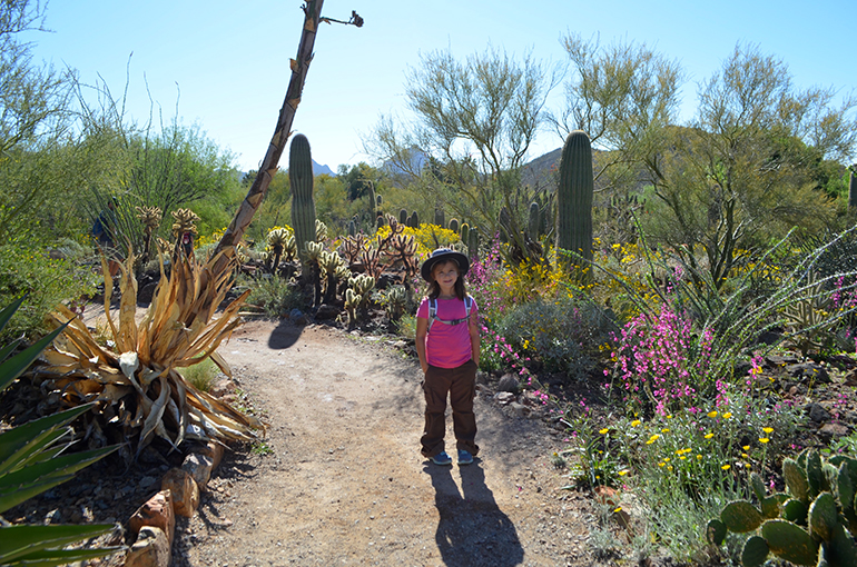 Arizona-Tucson-trail-outside-flowers