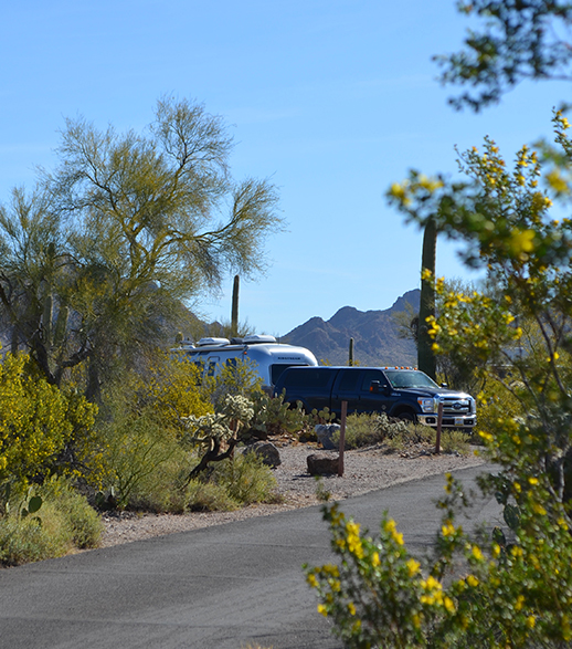 Gilbert-Ray-Campground-Tucson