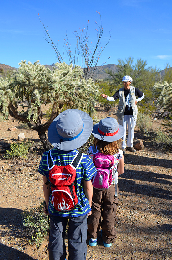 Nature-Walk-Tucson-Arizona-kids