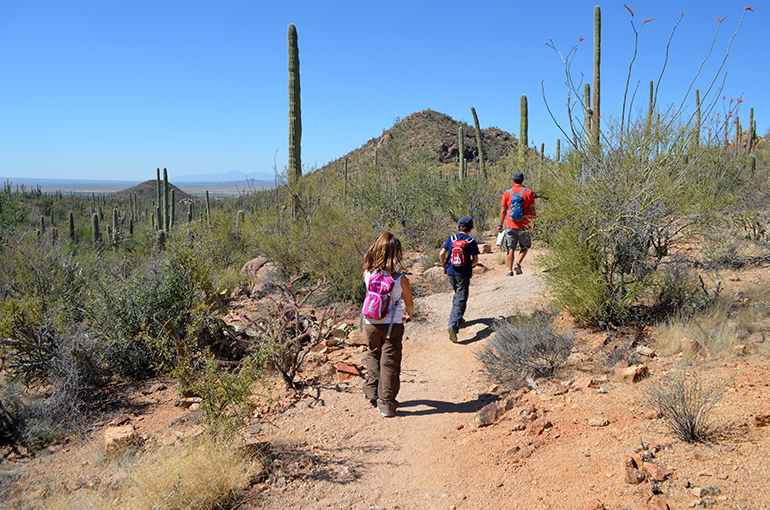 Saguaro-National-Park-Hiking-kids