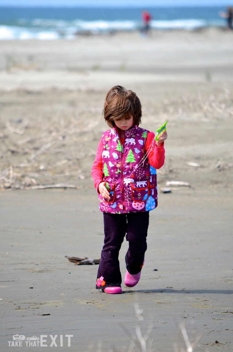 Kite flying - Grayland Beach State Park