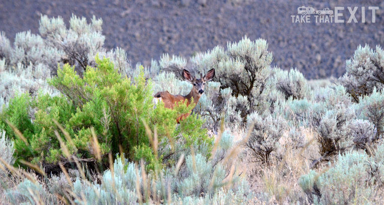 Deer-Sun-Lake-State-Park