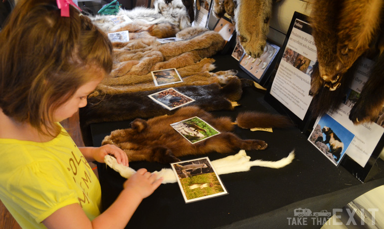 Apgar-Nature-Center-Glacier-pelts