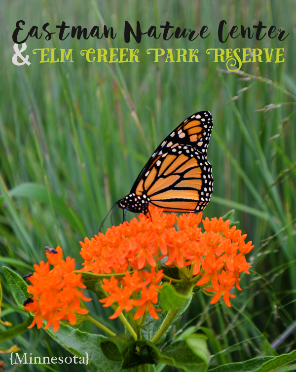 Eastman-Nature-Center-Elm-Creek