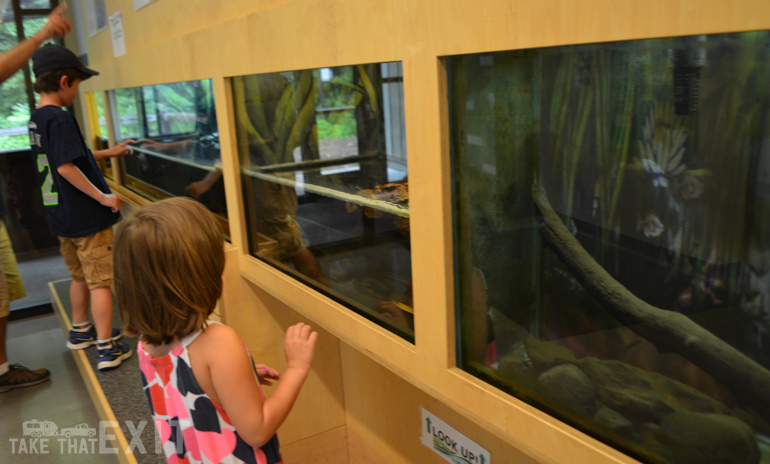 Eastman-Nature-Center-snakes