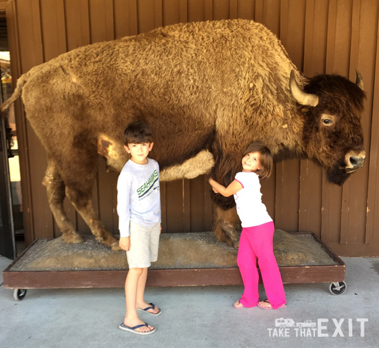 Wall-Drug-Buffalo