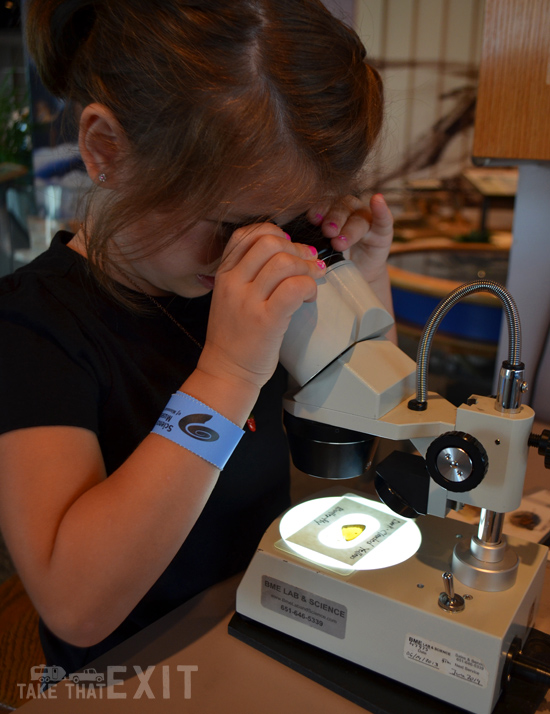 Microscope-museum-minneapolis