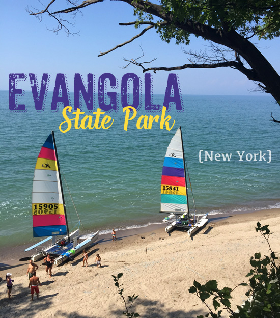 Evangola-State-Park-Visit