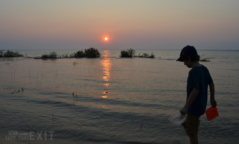 Frog-Hunting-Tawas-Point-State-Park