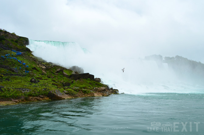 Niagara-Falls-from-maid-mist