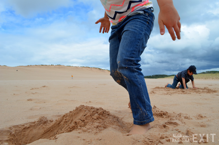 Sleeping-Bear-Dunes-State-Park-5