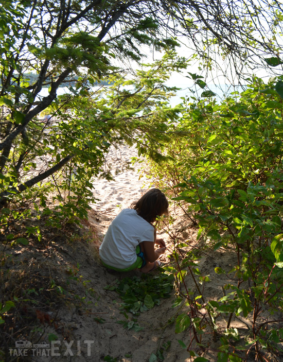 Wilderness-State-Park-MI-forts