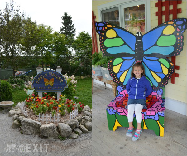 Wings-Mackinac-Butterfly