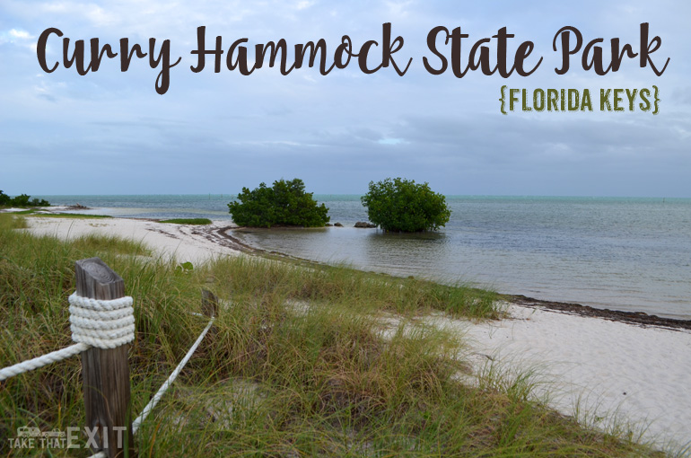 Curry-Hammock-State-Park-Review