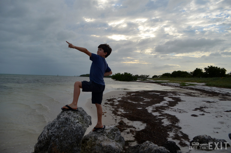 Exploring-the-beach