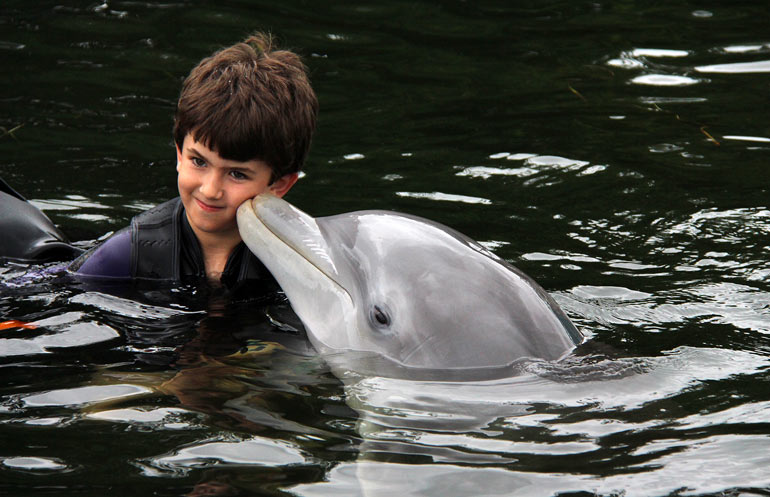 Dolphins-Kissing-Liam-Dolphins-Plus