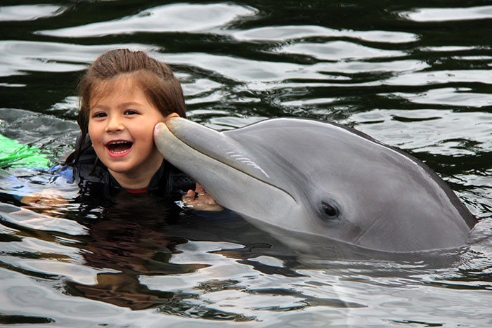 Hadley-dolphin-smile-Dolphins_plus