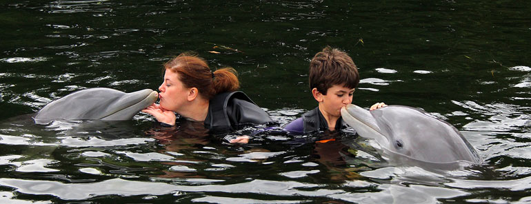 Kissing-Dolphins-Key_largo