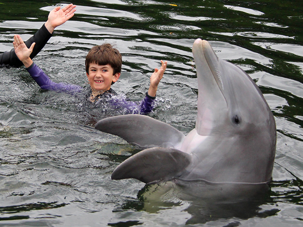 Liam-teaching-Dolphins-Key-Largo