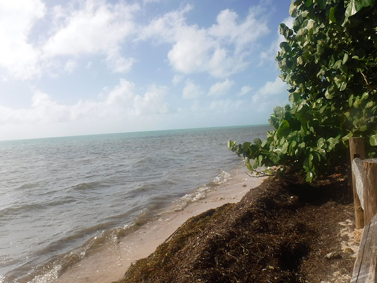 Long-Key-Beach-Other-View