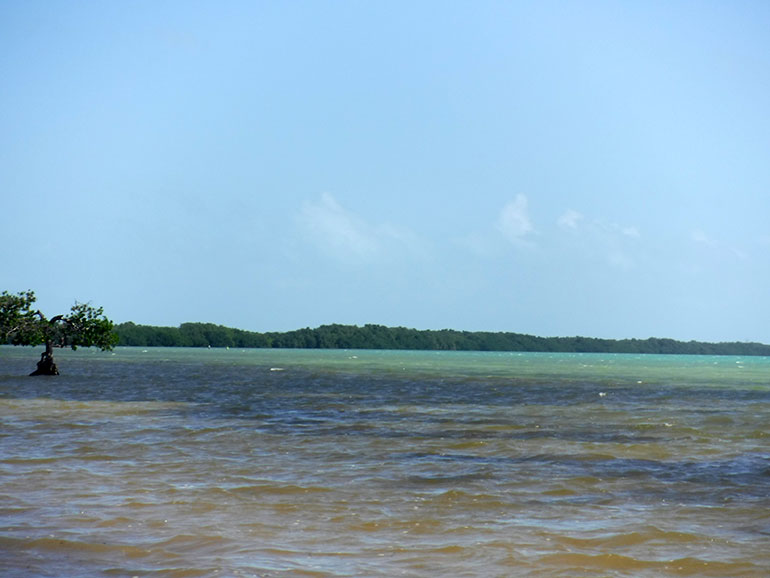 Long-Key-State-Park-view