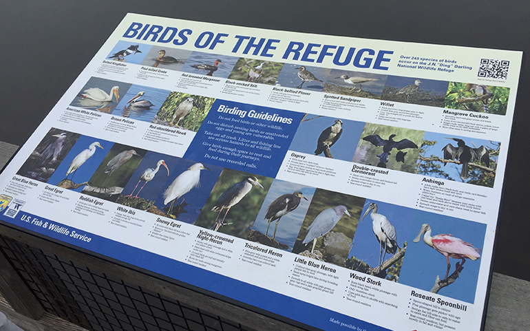 Birds-of-the-Refuge-Sanibel