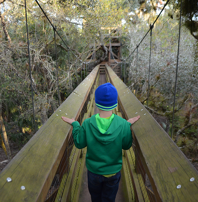 Canopy-Walk-Myakka-State-Park