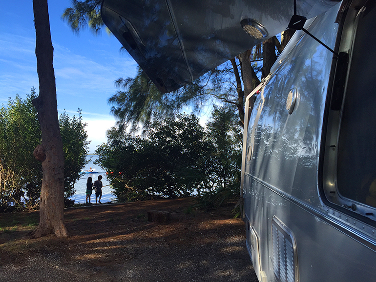 Fort-De-Soto-campground-mangroves