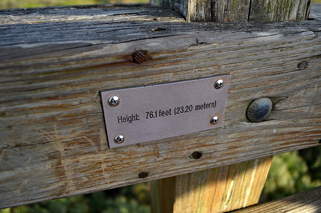 Height-canopy-top