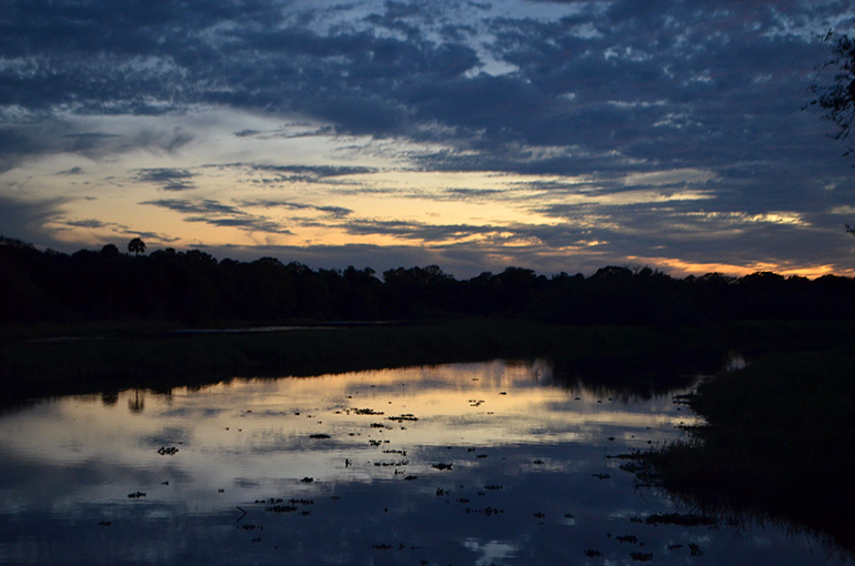 Myakka-River-State-Park-sunset