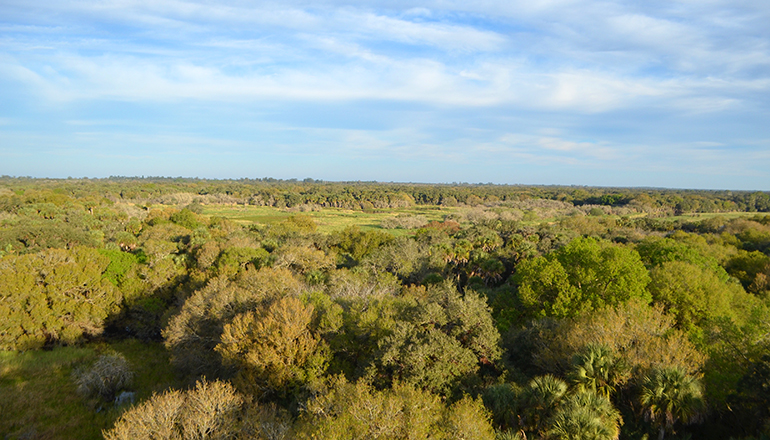 Myakka-State-Park-view