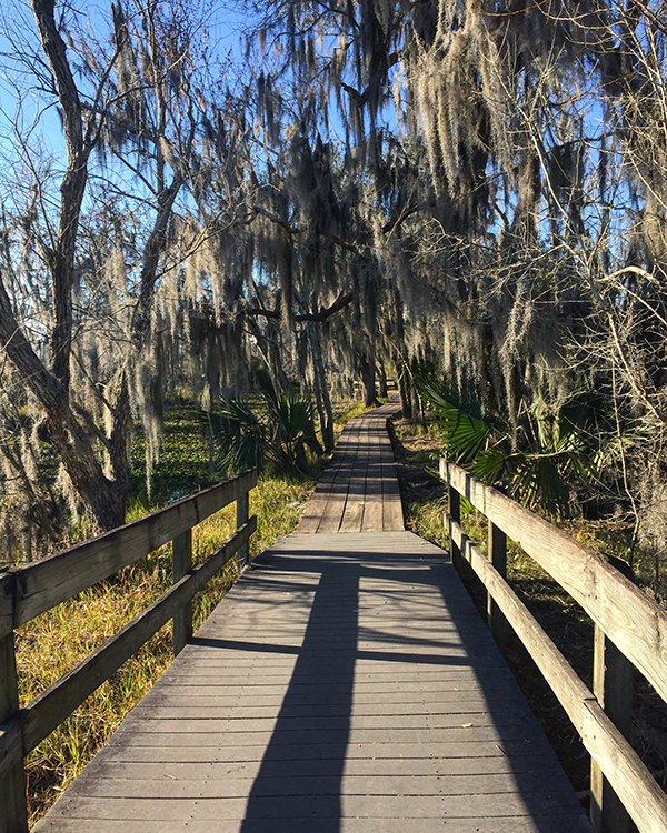 Barataria-Preserve-Boardwalk-Spanish-Moss