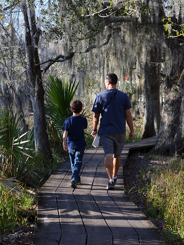 Barataria-Preserve-boardwalk