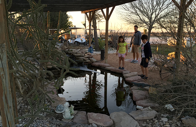 Carlsbad-KOA_Koi-fish-pond