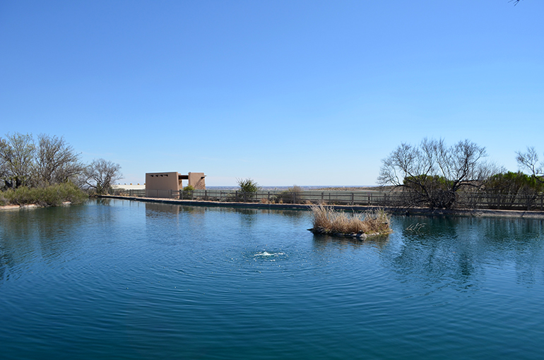 Carlsbad-Living-Zoo-Water-Exhibit