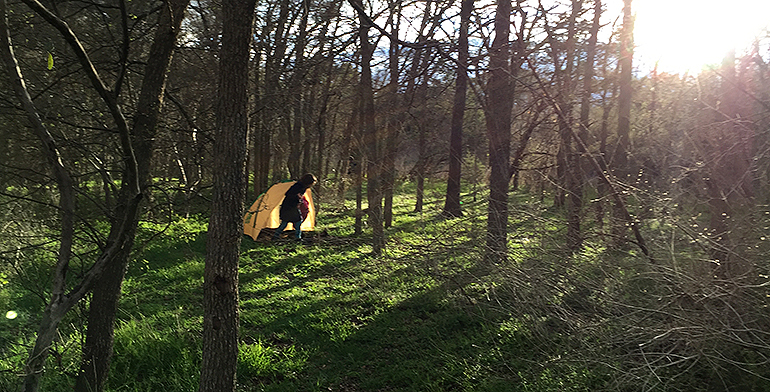 Playing-Woods-McKinney-State-Park