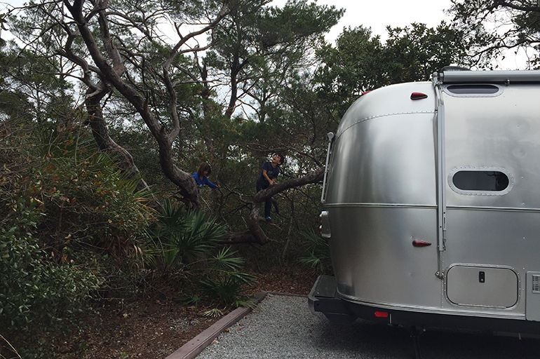 Playing-in-trees-Henderson-Beach-state-park