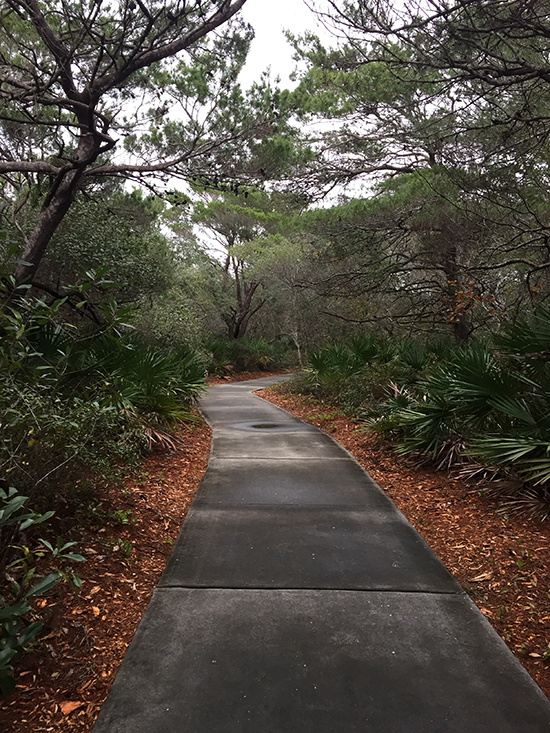 Walk-to-Beach-Henderson-Beach