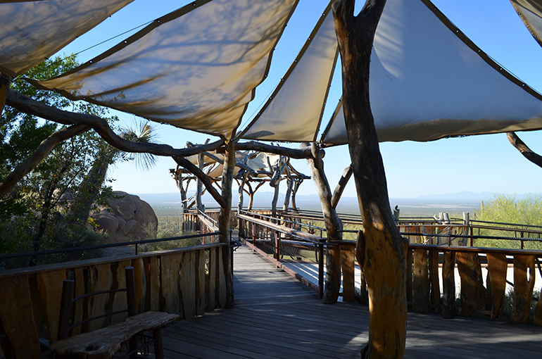 Arizona-Sonora-Desert-overlook