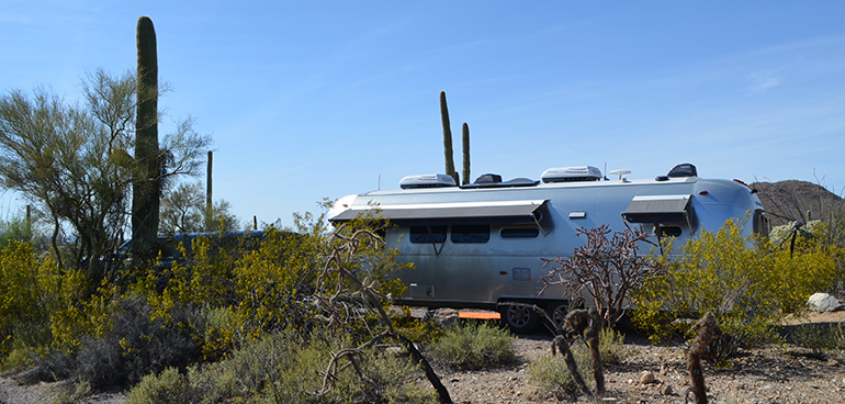 Gilbert-Ray-Campground-Tucson-spot