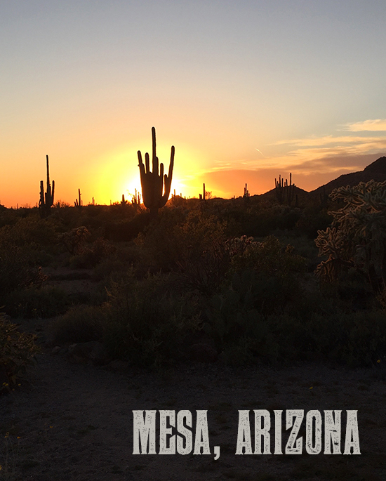 Mesa-Arizona-Family-Time