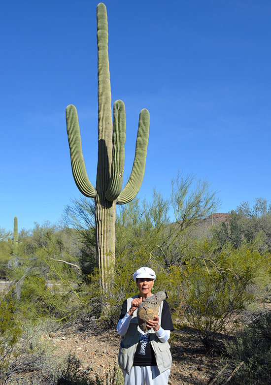 Nature-walk-Gilbert-Ray-Campground