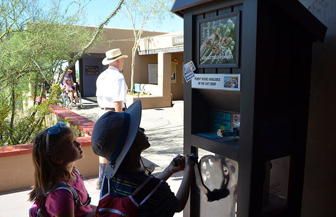 Press-Pennies-Arizona-Sonora-Desert